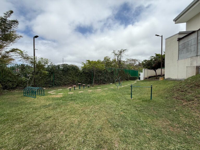 Imagen 22
