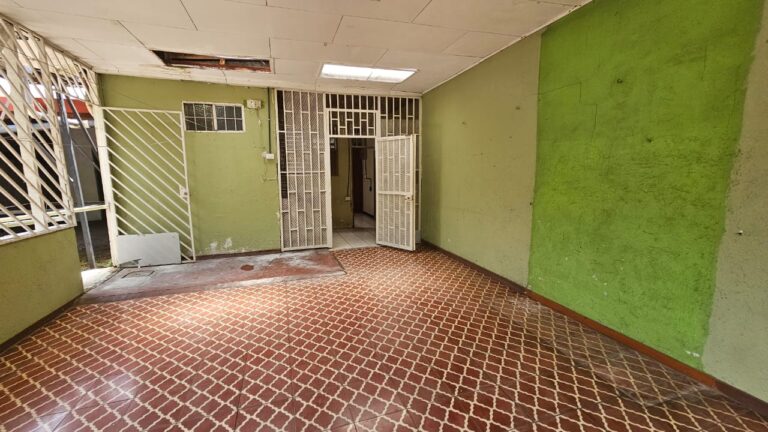 Imagen 5