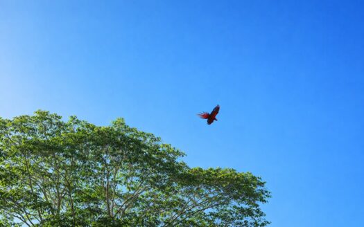 Lote en condominio en Playa Hermosa 360 m2. Cod. 146738