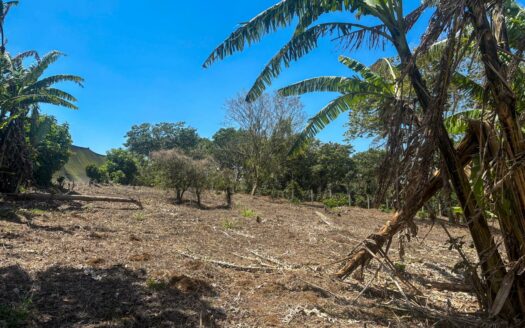 Lote En Venta En Naranjo Alajuela, Vista De Montaña Y Amplio Terreno.cod.148339