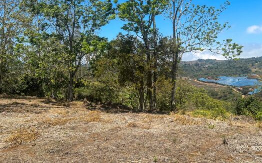 Lote En Venta En Naranjo Alajuela, Vista De Montaña Y Amplio Terreno.cod.148339