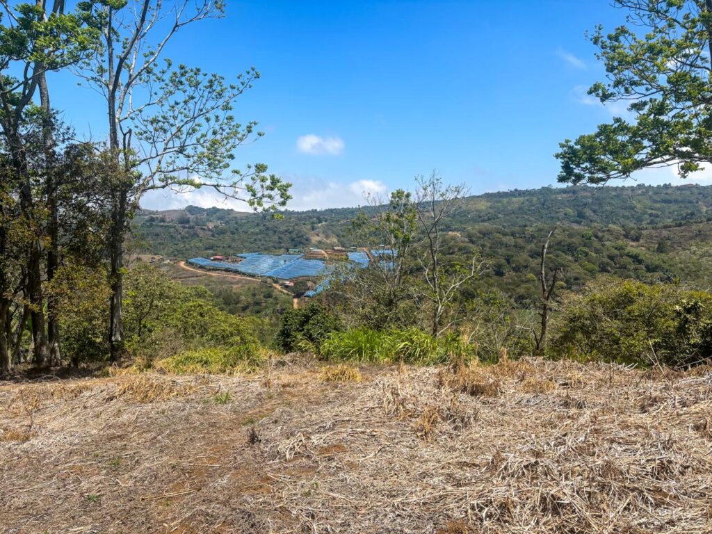 Características de la propiedad