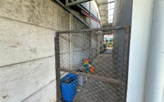 ¡OPORTUNIDAD! Casa Amplia En Venta En Tambor De Alajuela Una Planta Con Amplio Lote De 622 m². COD. 148777