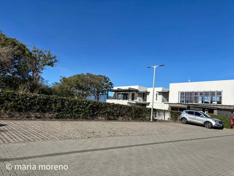 Imagen 21