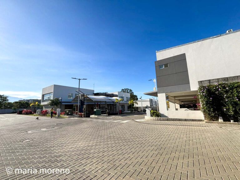 Imagen 20