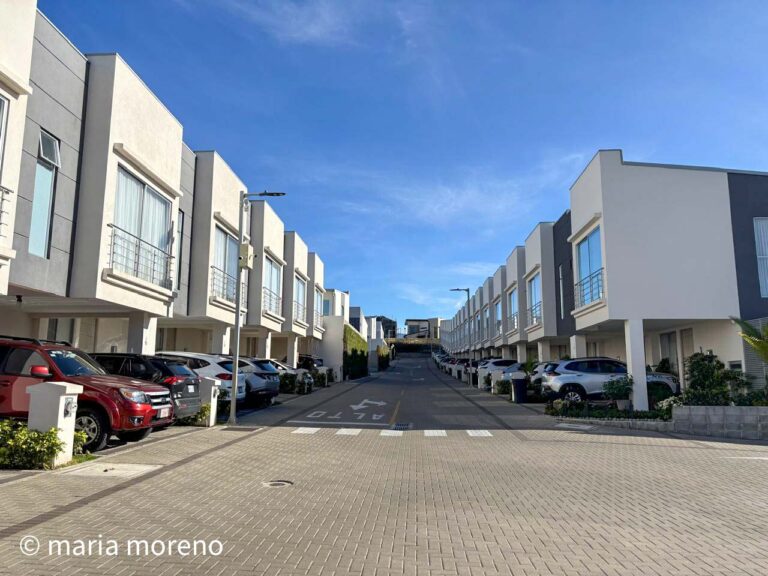 Imagen 14