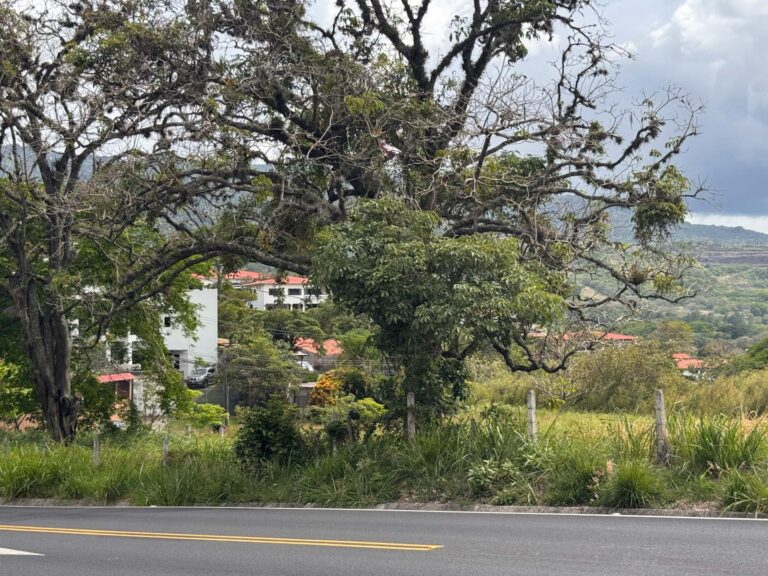 Imagen 9