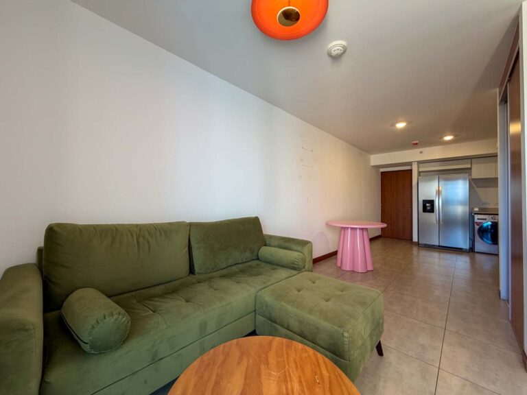 Imagen 5