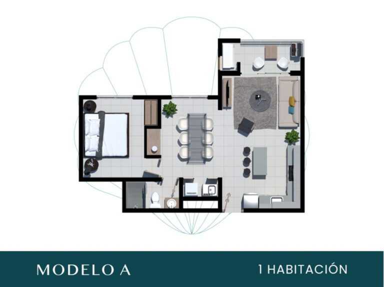 Imagen 5