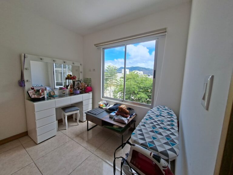 Imagen 16