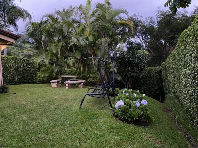 Imagen 5