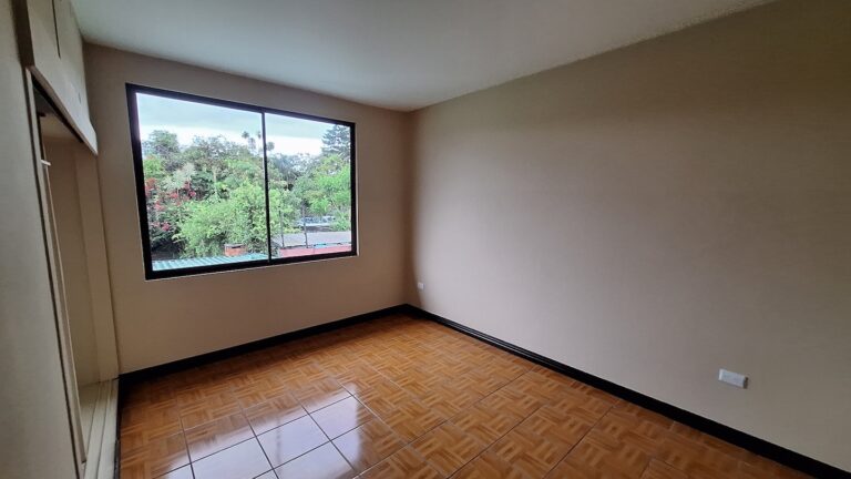 Imagen 7