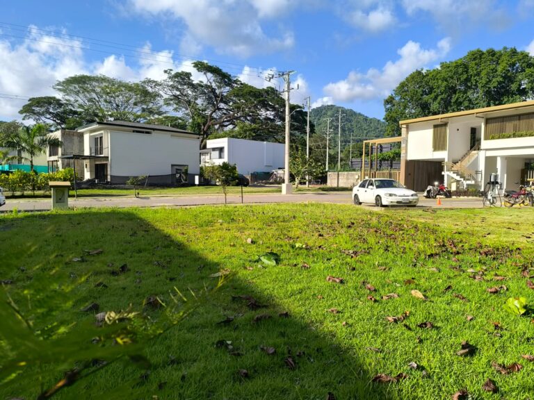 Imagen 5
