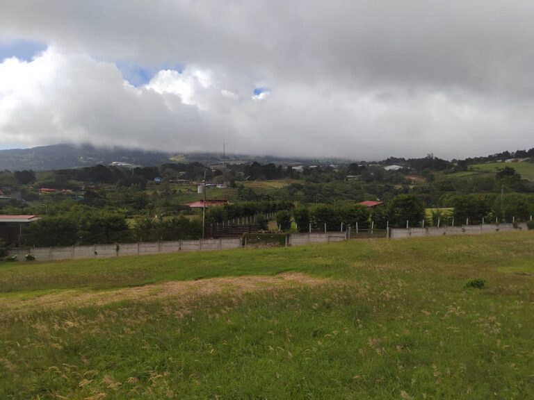 Imagen 10