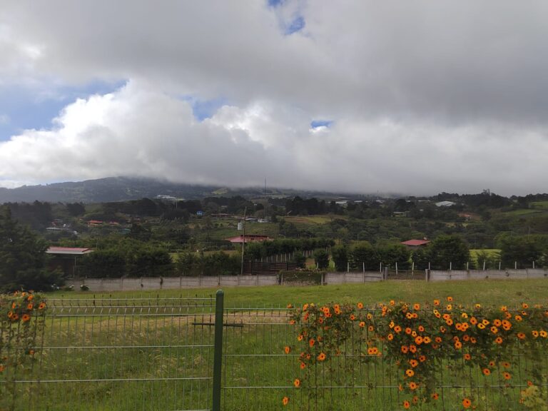 Imagen 9