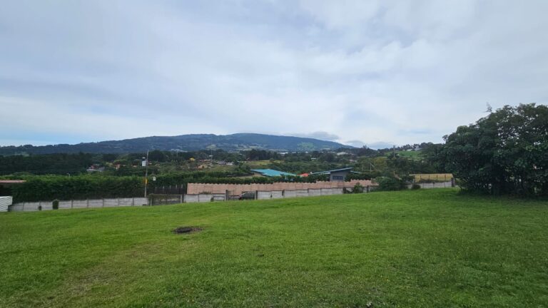 Imagen 5