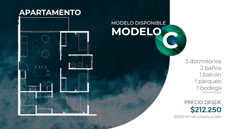 Imagen 6