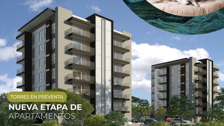 Imagen 8