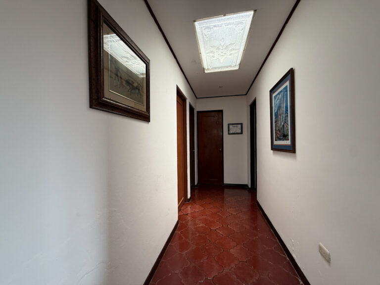 Imagen 7