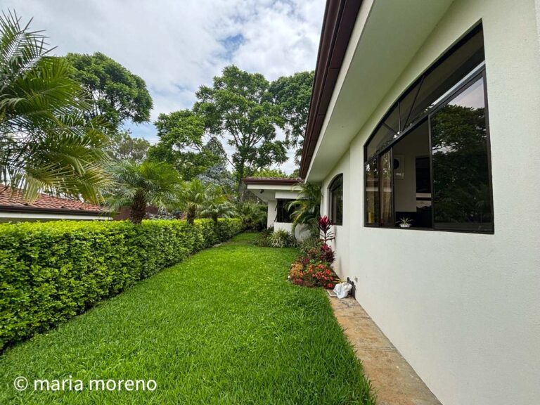 Imagen 6