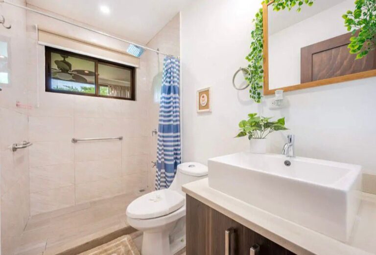 Imagen 6
