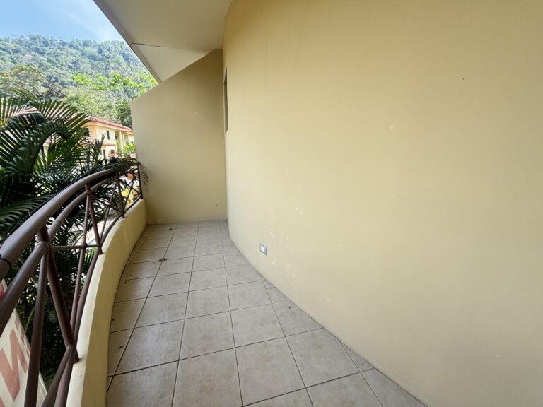 Imagen 20