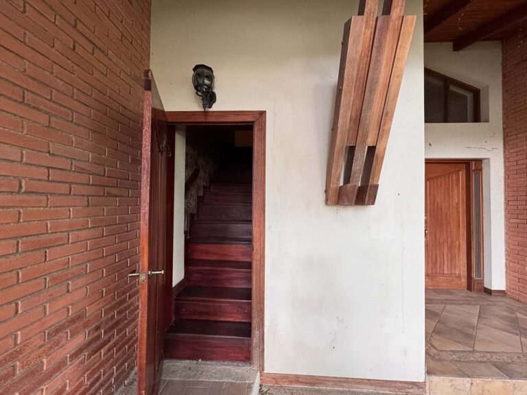 Imagen 11