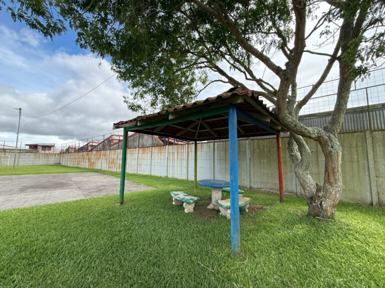 Imagen 21