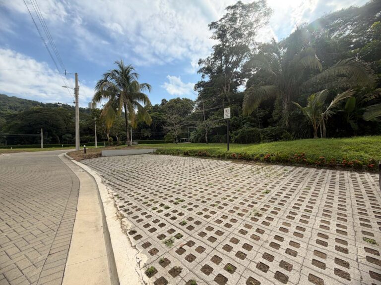 Imagen 13