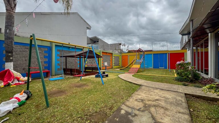 Imagen 8