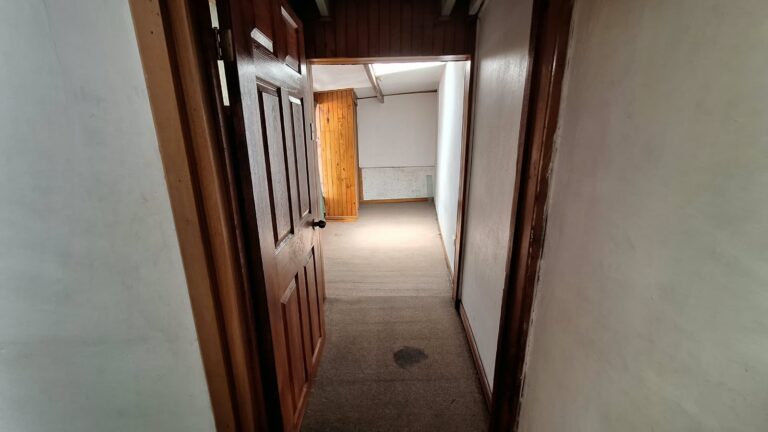 Imagen 8