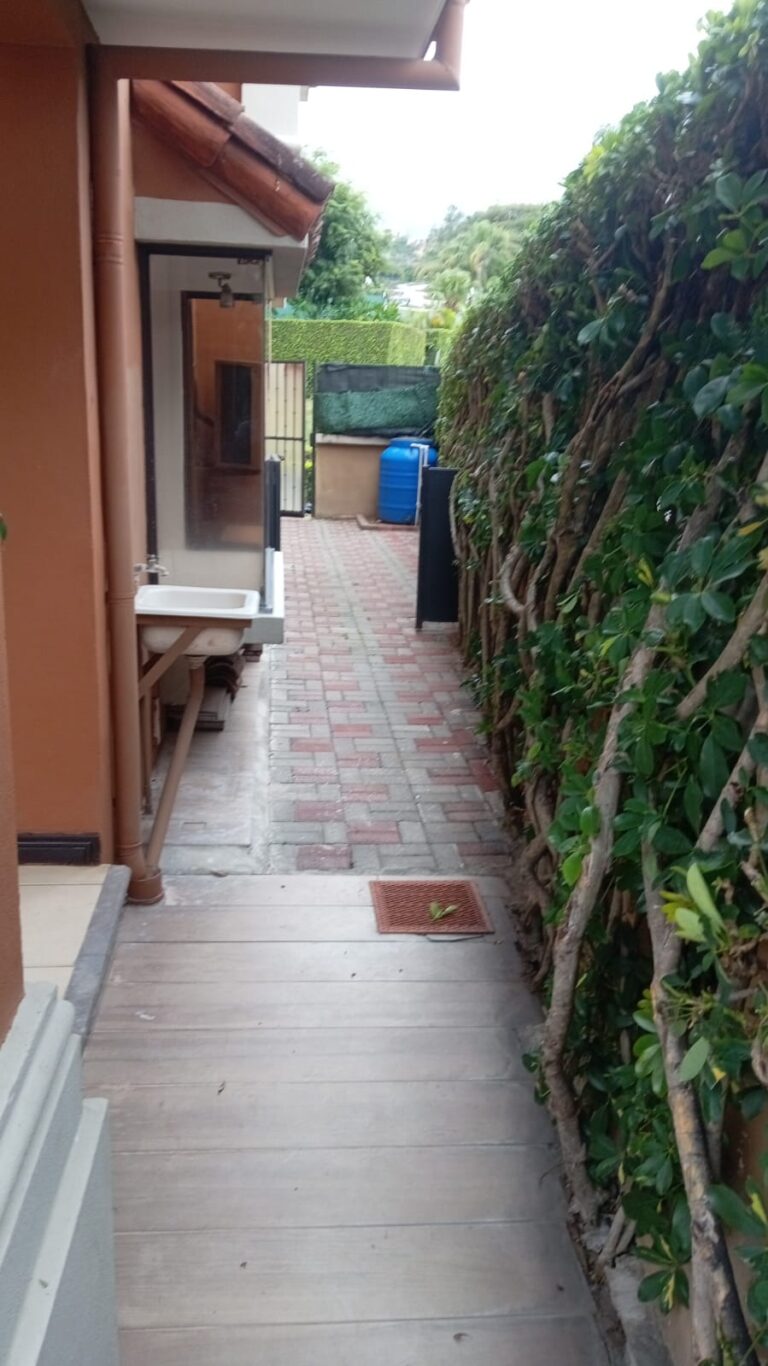 Imagen 6